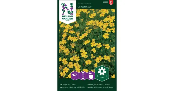 95555 tagetis lemon star