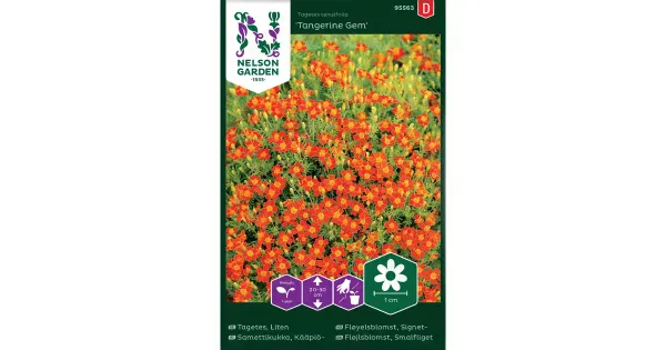 95563 tagetes tangerine gem