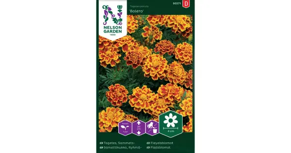95571 peiulill bolero