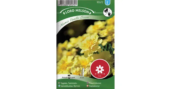 95572 tagetes alumia vanilla cream