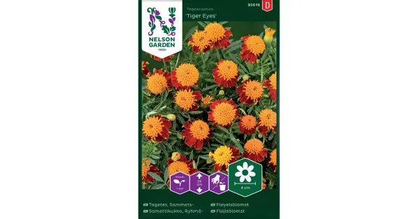 95619 tagetes ryhmä-, tiger eyes