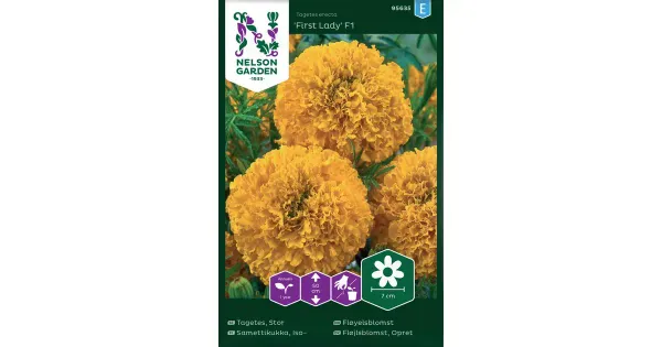 95635 tagetes inca gold f1