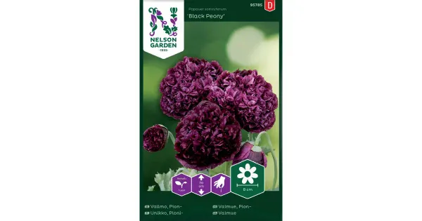 95785 pojeng black peony