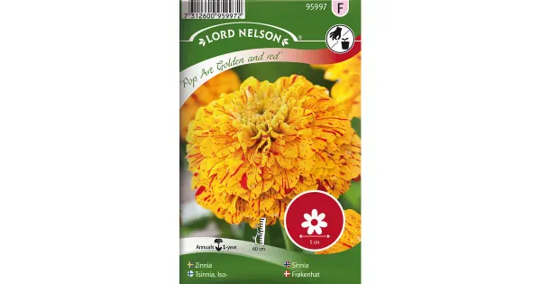 95997 zinnia pop art gold & red