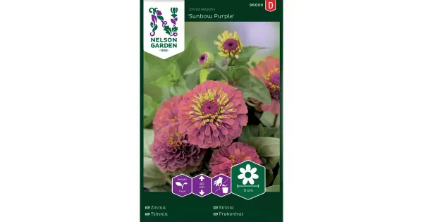 96009 zinnia sunbow purple