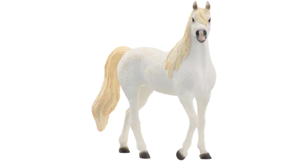 Araabia hobuse täkk