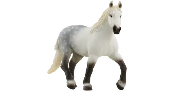 Araabia mära