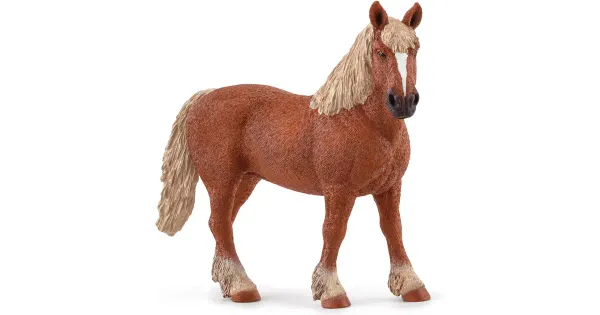 BELGIA VEOHOBUNE
