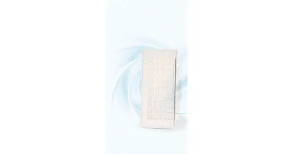 Bosch HEPA filter BBZ154