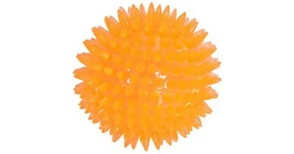 Camon koerte mänguasi pall ogadega 8cm