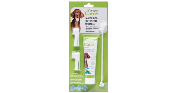 CanineCare hambahoolduskomplekt koerale