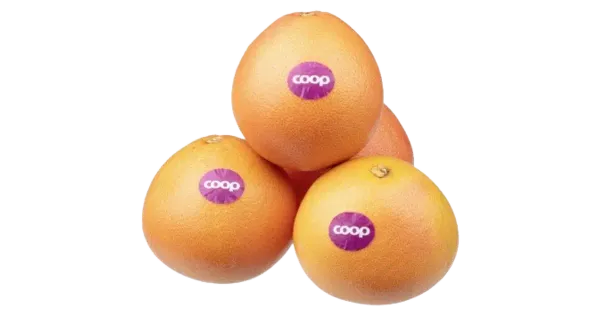 Coop Greip punane I klass