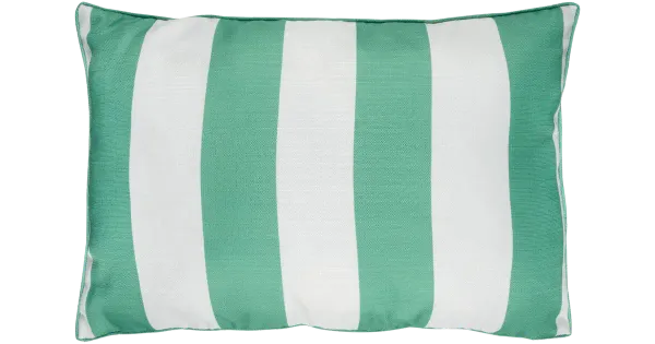 Dekoratiivpadi Gianna 40x60 roheline