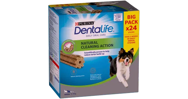 Dentalife keskmine Big Pack 24kpl