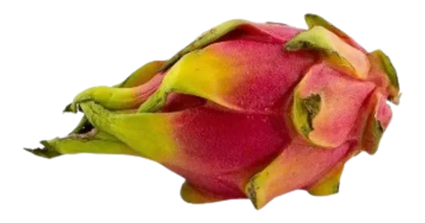 Draakonivili