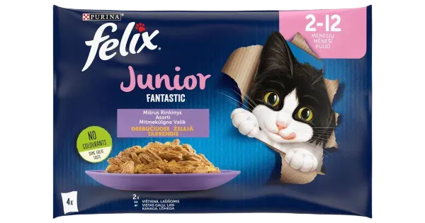 Felix kiisueine Fantastic  Junior kana-lõhe 4x85g