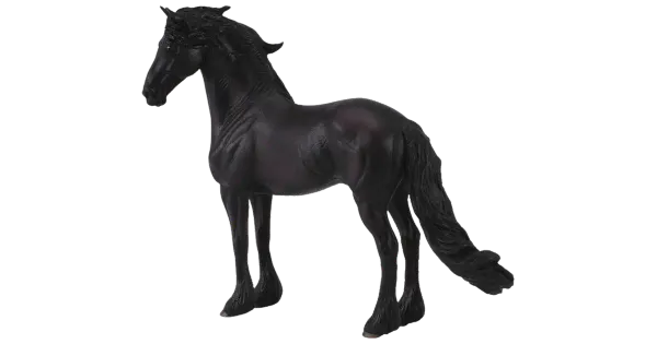 Friesian mära