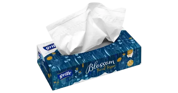 Grite kosmeetiline salvrätt blossom 2-kihil 80tk