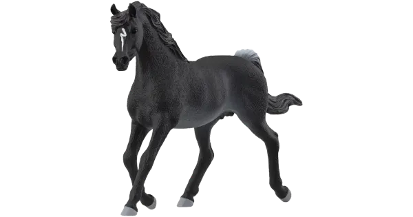 Haflinger mare