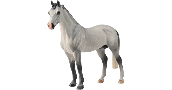 Hanoverian täkk