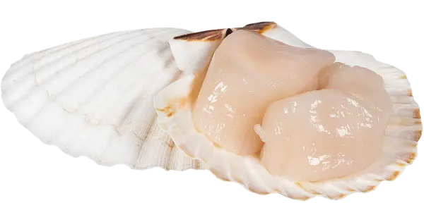 Herkku Delikatess Kammkarbiliha 180 g
