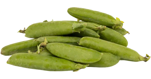 Herned 450g
