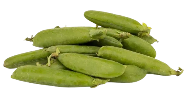 Herned kg