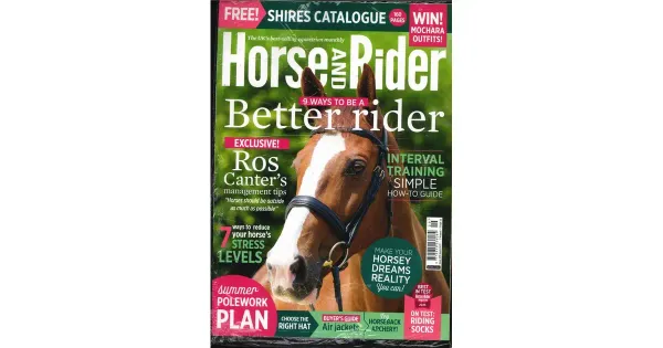 Horse & Rider