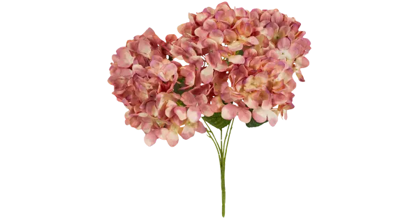 Hortensia oks vanaroosa 48 cm