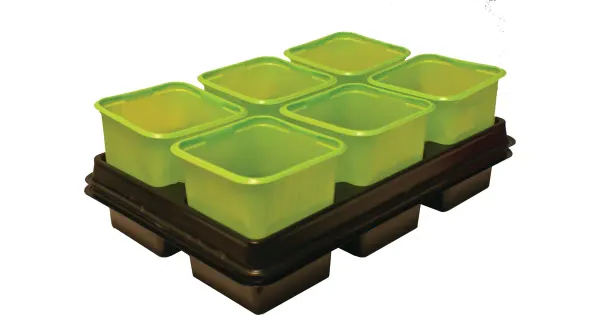 Istutuspott 8x8cm 12tk roheline+2alust