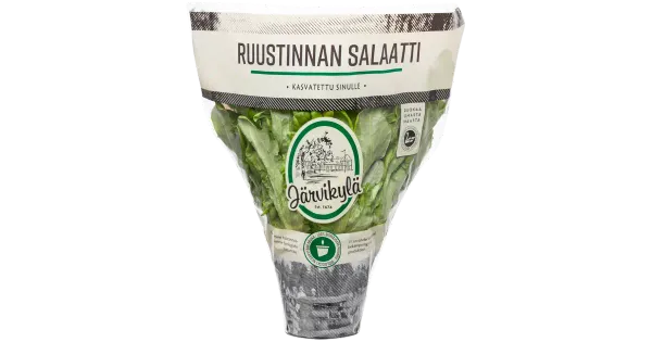 Järvikylä Ruustinnan salat potis