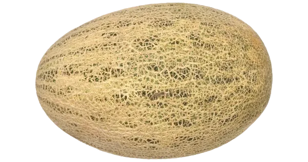 Kesk Aasia melon