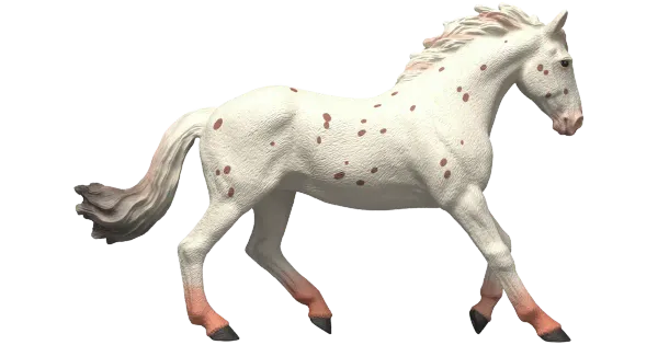 Knabstrupper mare