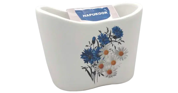 Koorepakihoidik