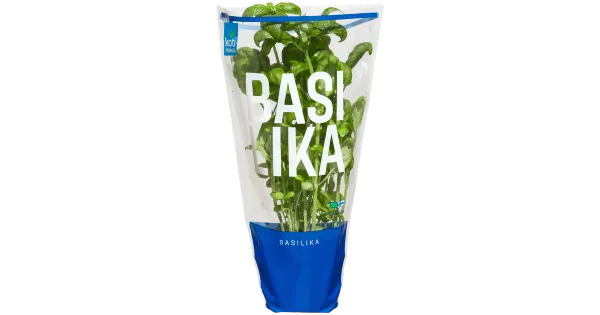 Kotimaista Basiilik potis