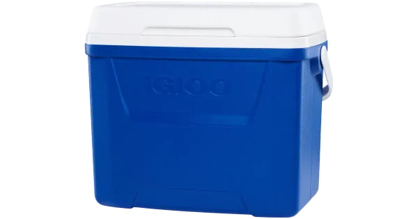 Külmakast Igloo Laguna 27 l sinine