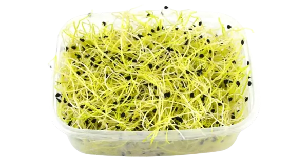 Küüslaugu idud 50g