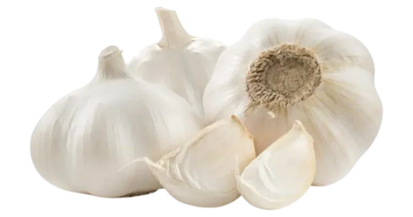 Küüslauk