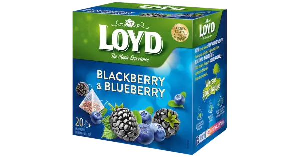 Loyd puuviljatee Pyramids põldmari ja mustikas 40g