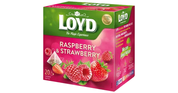 Loyd puuviljatee Pyramids vaarikas ja maasikas 40g