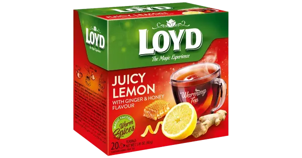 Loyd puuviljatee Pyramids Warming Sidrun 40g