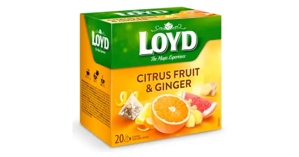 Loyd taime- ja puuviljatee ingveri- ja tsitrusemaitseline 20 x 2g PÜRAMIID