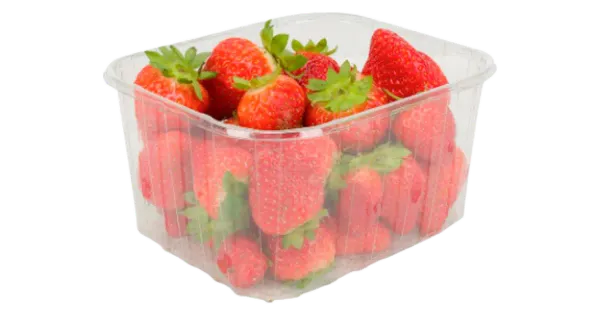 Maasikad EESTI 500 g