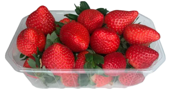 Maasikas 500 g I klass