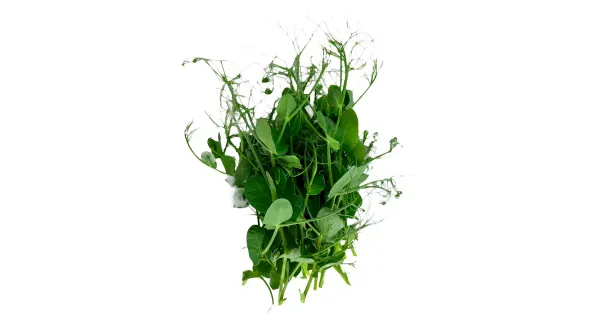Mahe hernevõrsed 50g