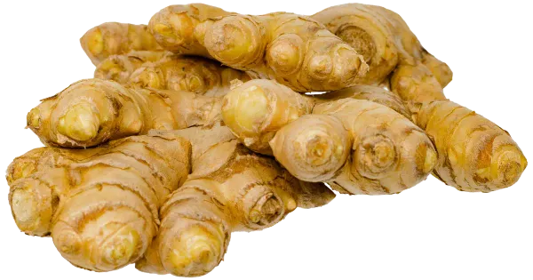 MAHE INGVER 200G