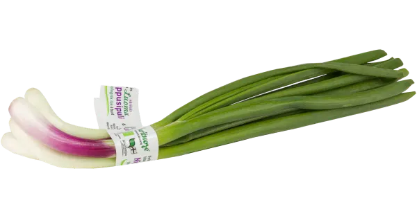Mahe sibulakimp mix