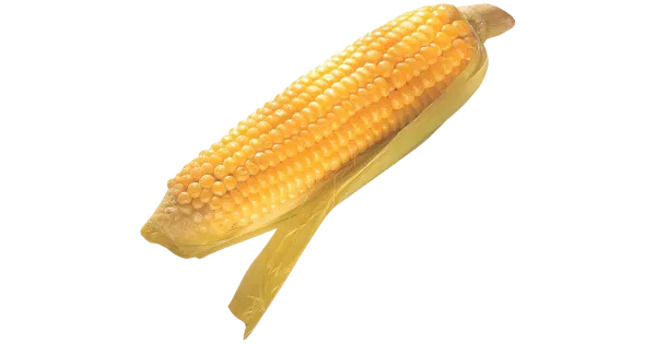 Maisitõlvik 400g