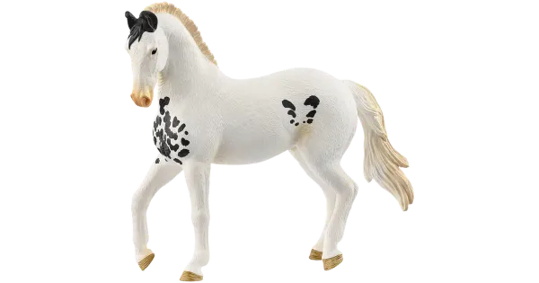 Marwari täkk