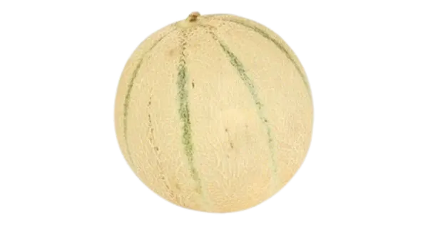 Melon Cantaloupe
